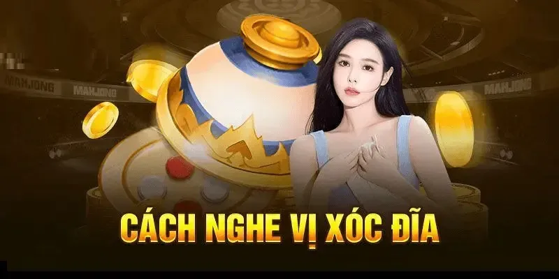 Quy tắc chơi và nguyên lý vận hành